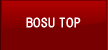 BOSU TOP